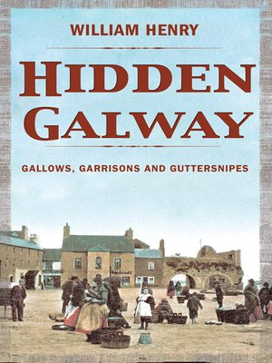 cover image of Hidden Galway